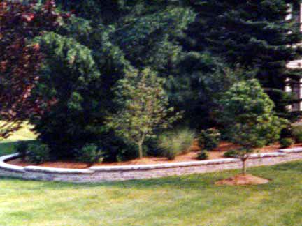 m1.jpg