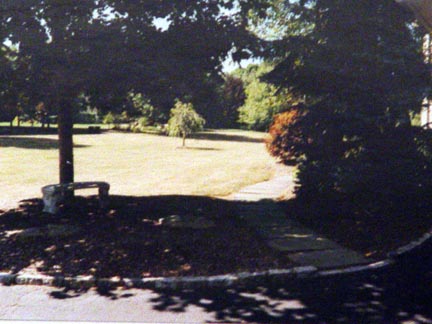 m2.jpg